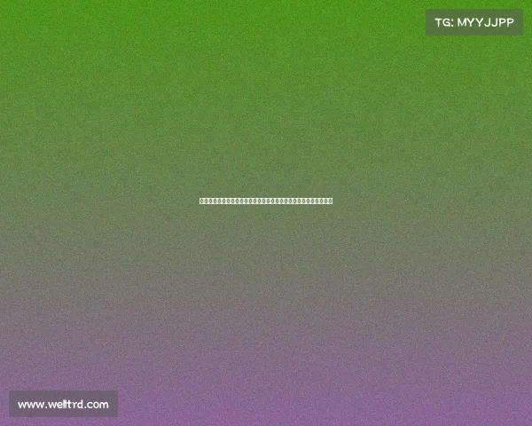 网球比赛中技术暂停的作用与影响分析：提升竞技水平与运动员表现